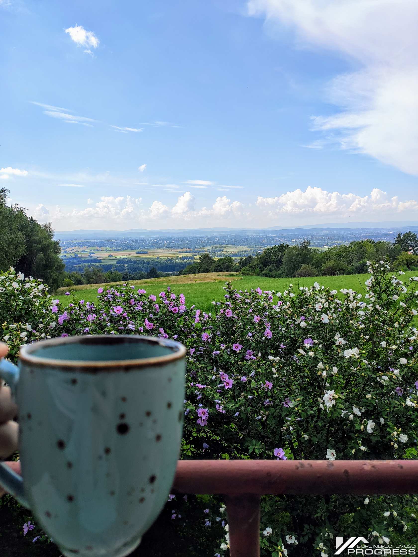 Duża obniżka ceny! Widokowa działka budowlana 2983m2 – ODRZYKOŃ /k. Krosna/.