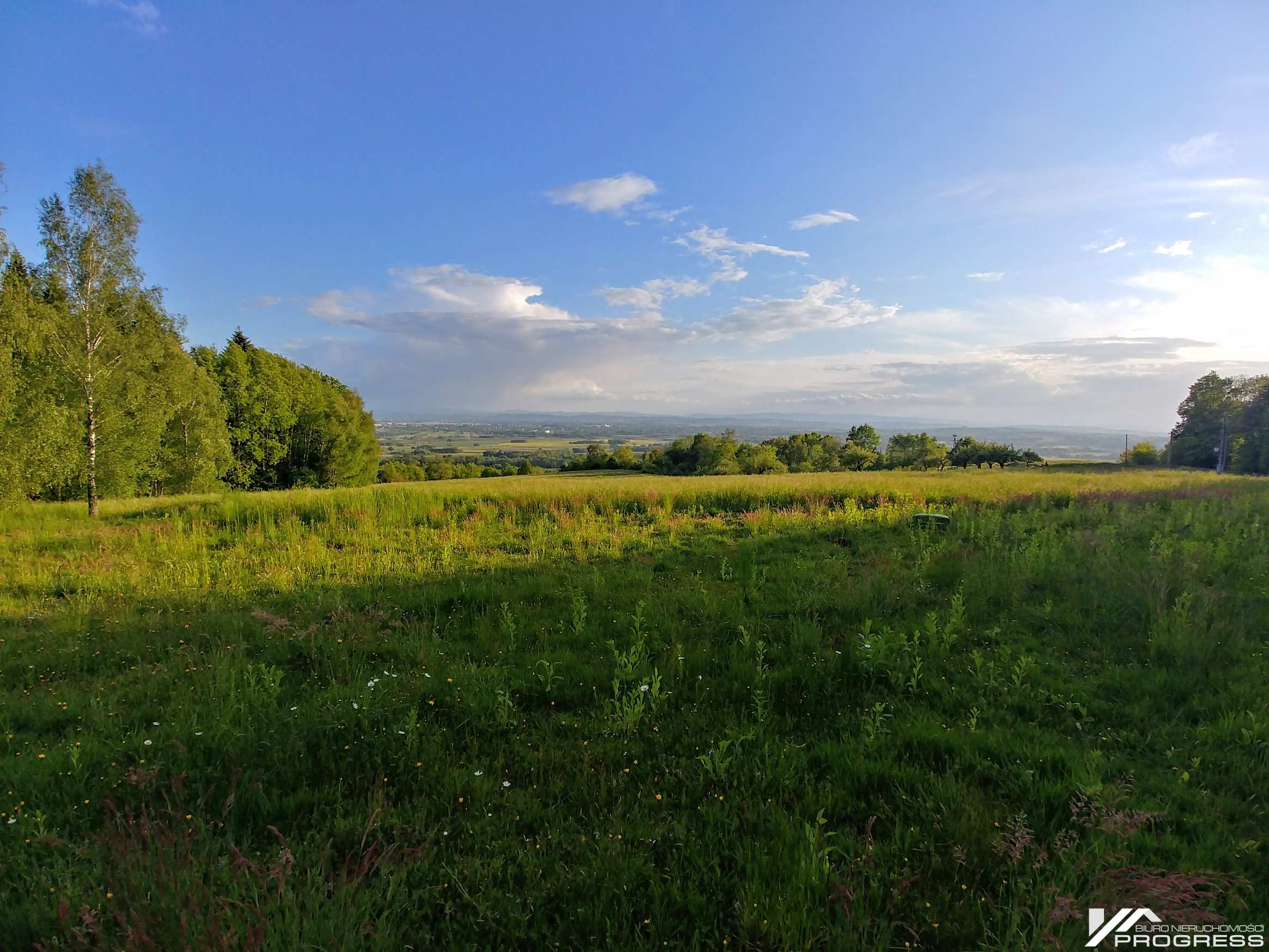 Duża obniżka ceny! Widokowa działka budowlana 2983m2 – ODRZYKOŃ /k. Krosna/.