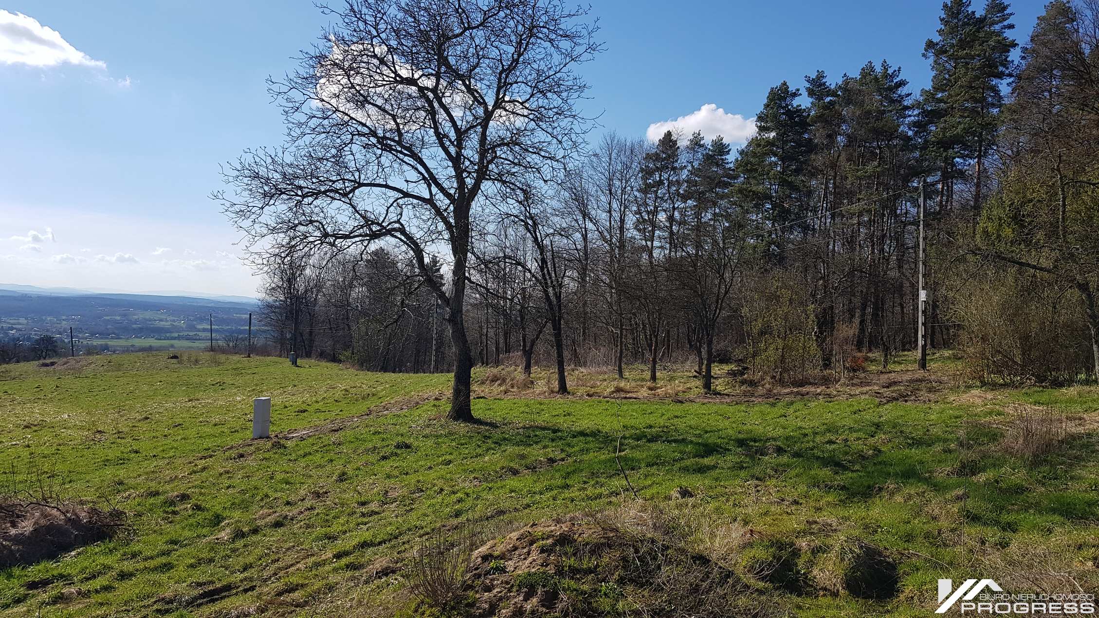 Duża obniżka ceny! Widokowa działka budowlana 2983m2 – ODRZYKOŃ /k. Krosna/.