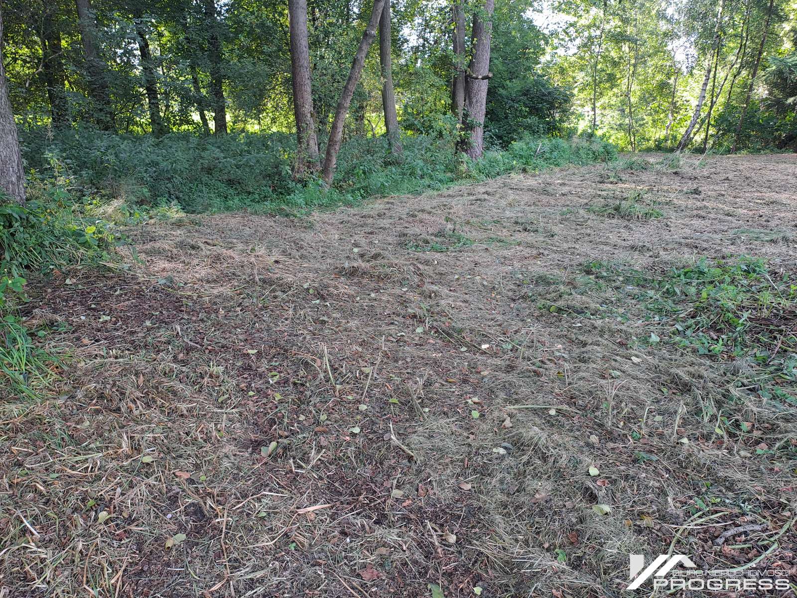 Na sprzedaż działka o pow. 19,62a – KROSNO /Turaszówka/.