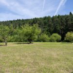 Komfortowy dom na widokowej działce, teren inwestycyjny 87a – Załuż /Bieszczady/.